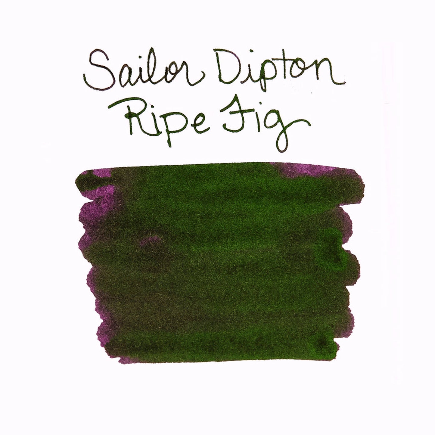 Sailor Dipton Ink Bottle (Ripe Fig - 20 ML) 13-1800-202