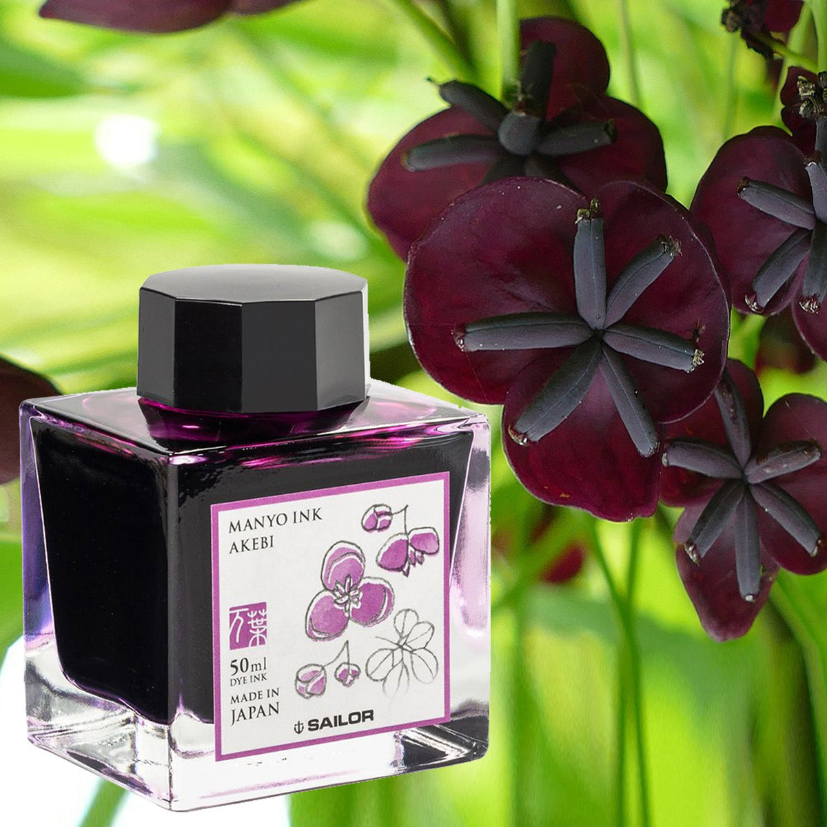 Sailor Manyo Ink Bottle (Akebi - 50 ML) 13-2009-206