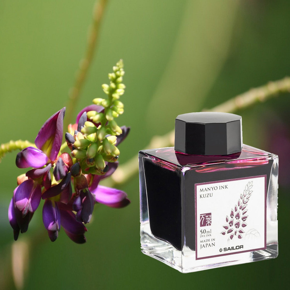 Sailor Manyo Ink Bottle (Kuzu - 50 ML) 13-2009-207