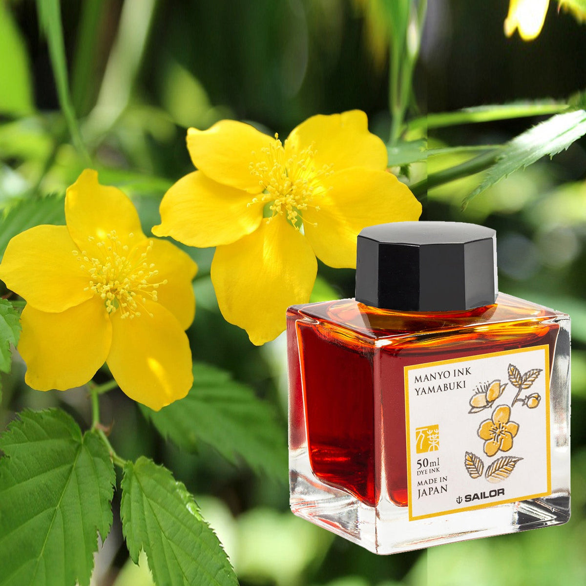 Sailor Manyo Ink Bottle (Yamabuki - 50 ML) 13-2009-208