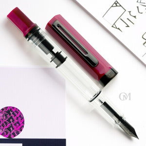Twsbi Eco Plum Onyx PVD Fountain Pen