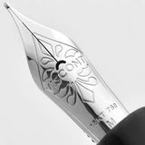 Visconti Divina Elegance Black CT Fountain Pen