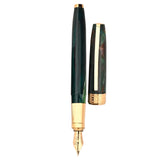 Visconti Van Gogh The Novel Reader GT Fountain Pen