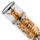 Visconti Maze Transparent/Gold GT Fountain Pen (Limited Edition)