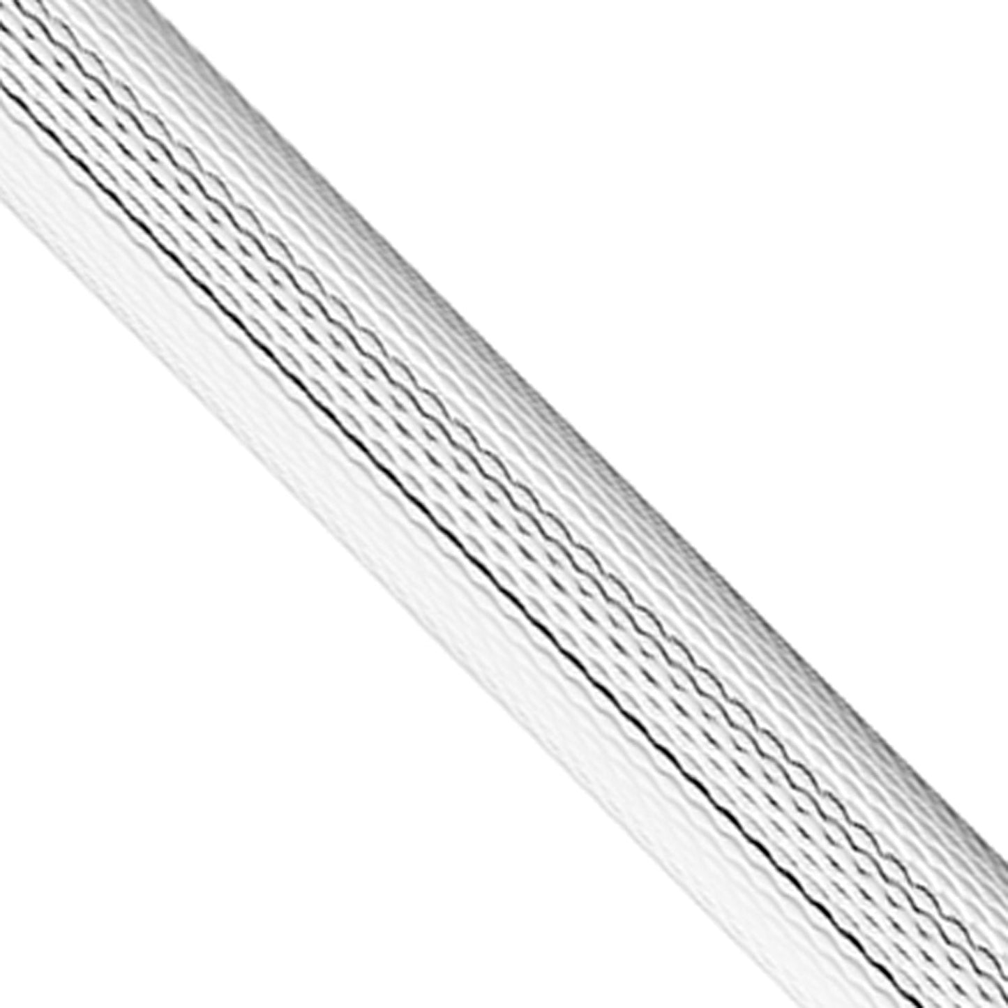 Waldmann Eco Silver Barley CT Ballpoint Pen 0002