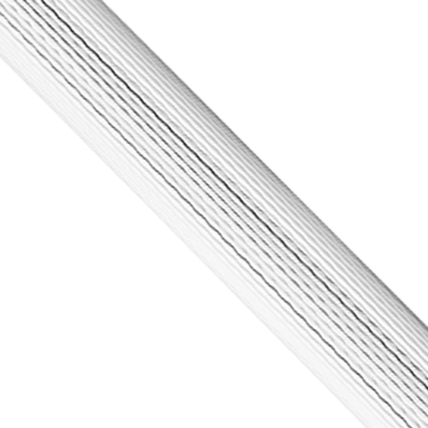 Waldmann Eco Silver Barley GT Ballpoint Pen 0316