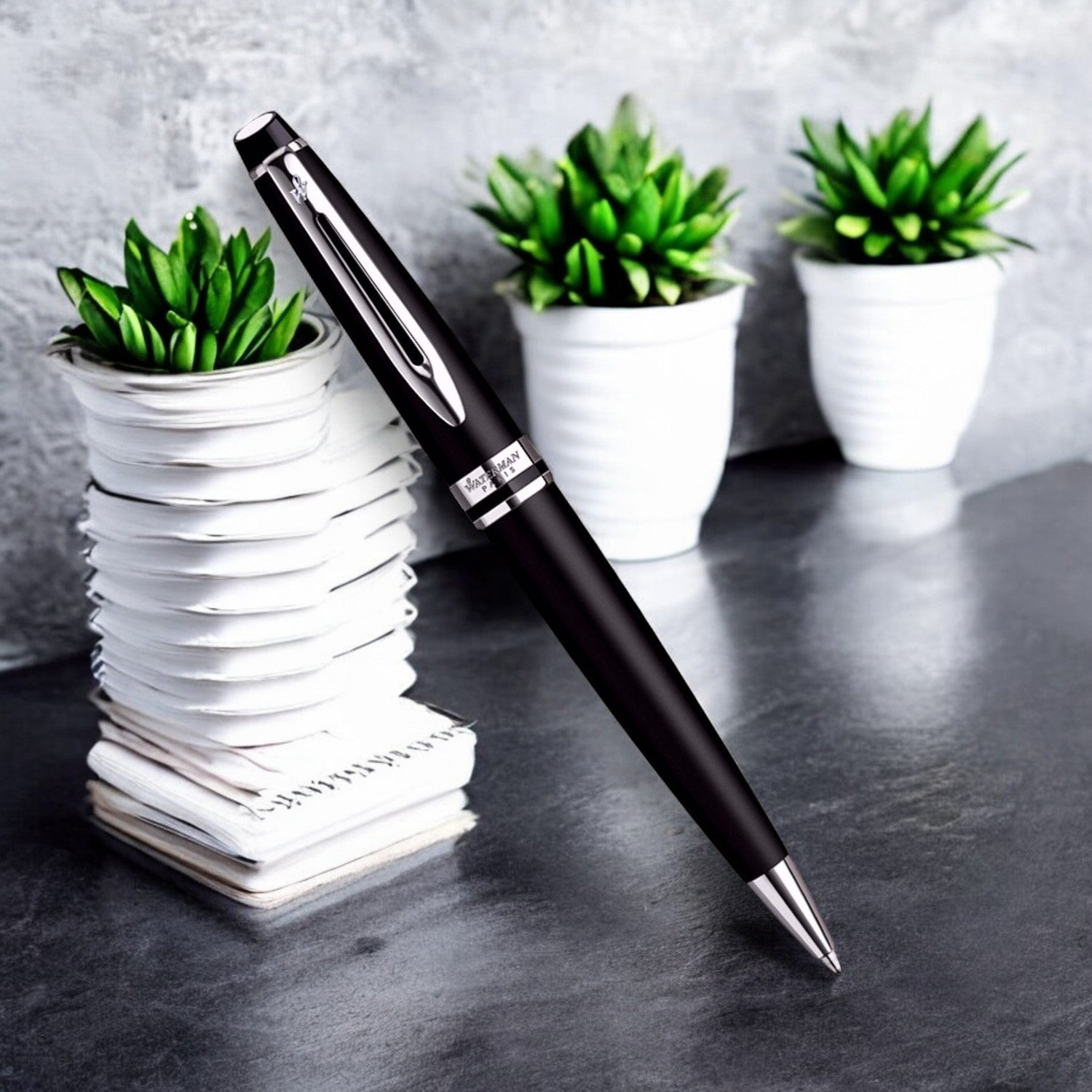 Waterman Expert Matte Black CT Ballpoint Pen 9000017141