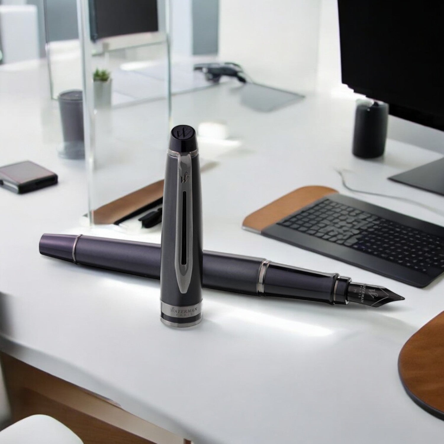 Waterman Expert Metallic Black RT Fountain Pen (Special Edition)