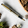Waterman Expert Stainless Steel GT Fountain Pen