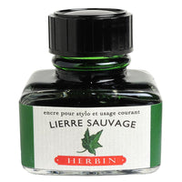Lierre Sauvage