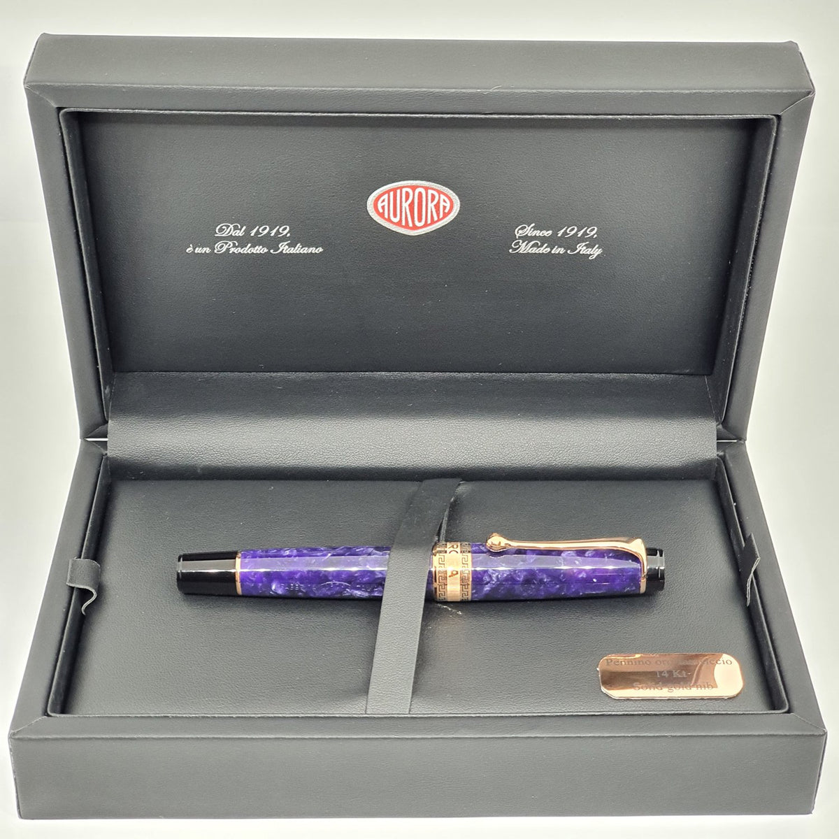 Aurora Optima Purple 14K Gold GT Fountain Pen