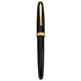 Hongdian 1841 Black Fountain Pen
