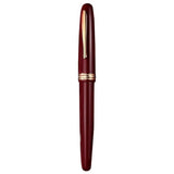 Hongdian 1841 Red Fountain Pen