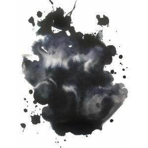 Krishna Kot-Massi Permanent Ink Bottle (Black - 20ML) KIKMPB20