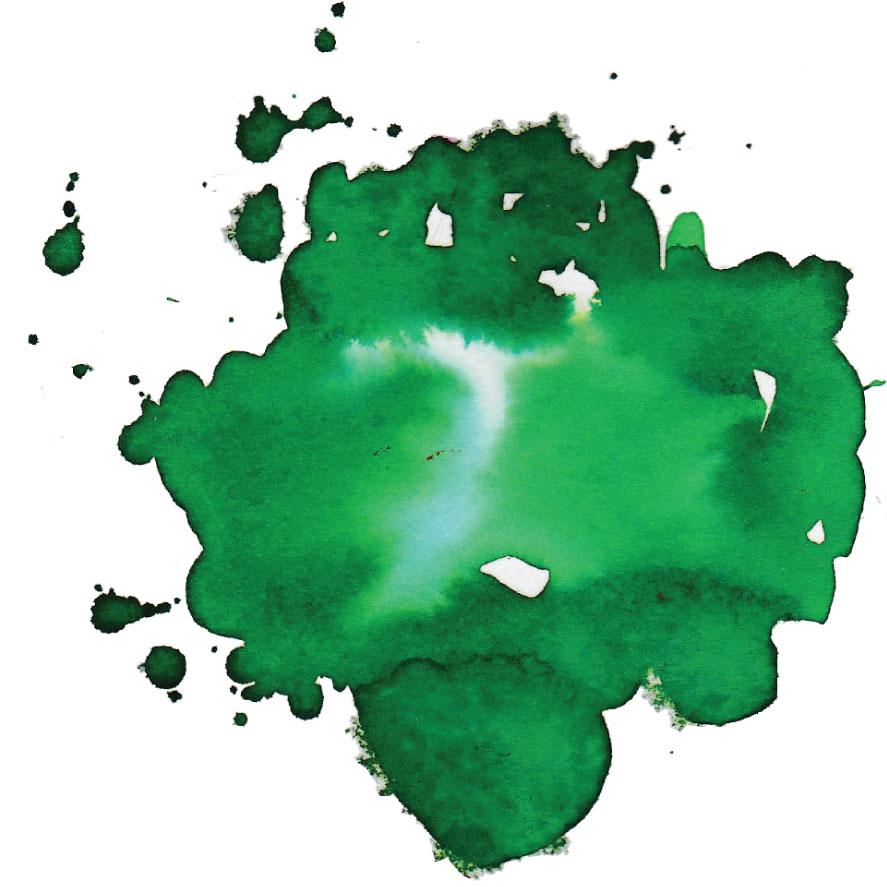 Krishna Super Rich Series Ink Bottle (Shamrock - 20ML) KISRSHAM20