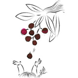 Krishna Super Rich Series Ink Bottle (Wild Cherry - 20ML) KISRWIC20