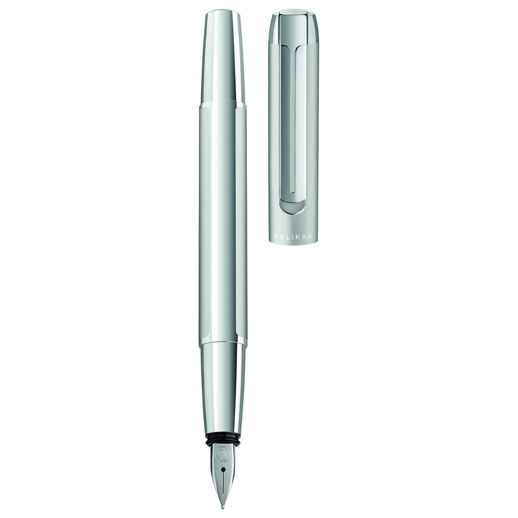Pelikan Pura P40 Silver Fountain Pen
