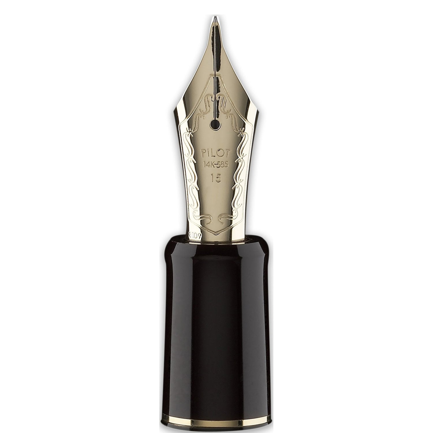 Pilot Custom 823 Fountain Pen