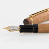 Pilot Custom Enju Brown 18CT Fountain Pen