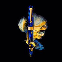 Betta