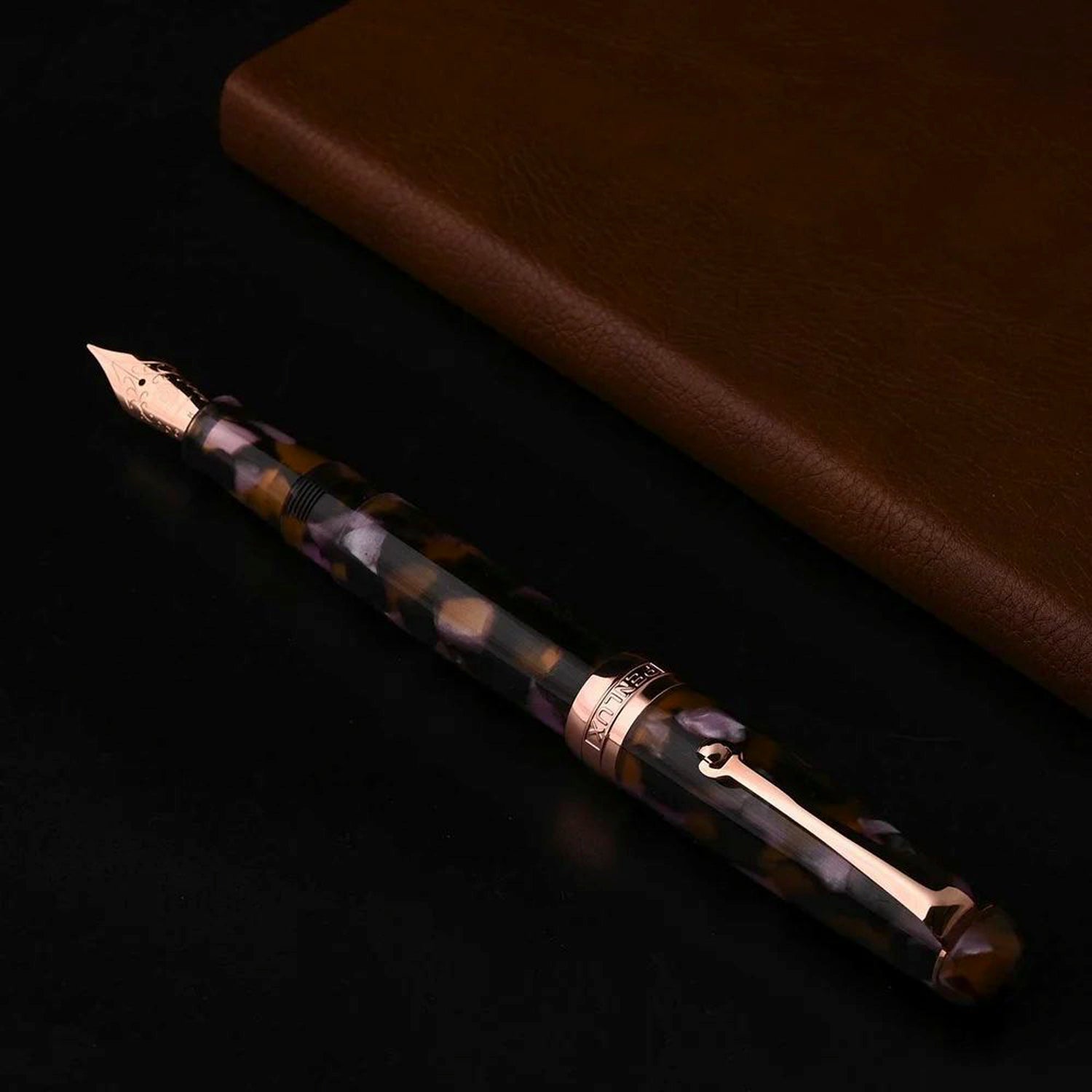 Penlux Masterpiece Delgado Euploea RGT Fountain Pen