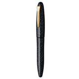 Platinum Izumo Galaxy GT Fountain Pen