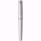 Platinum Procyon Luster Stain Silver CT Fountain Pen