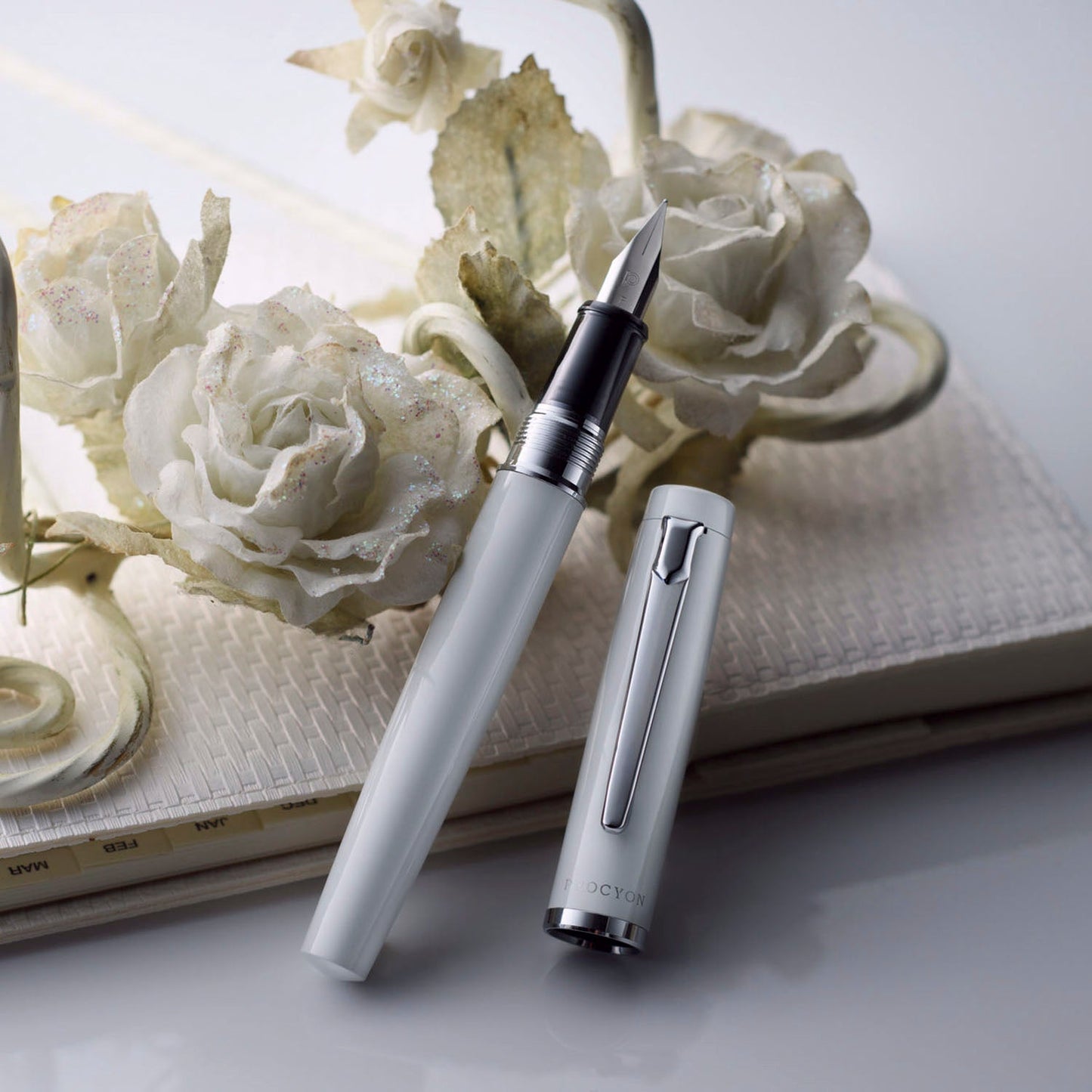 Platinum Procyon Porcelain White CT Fountain Pen