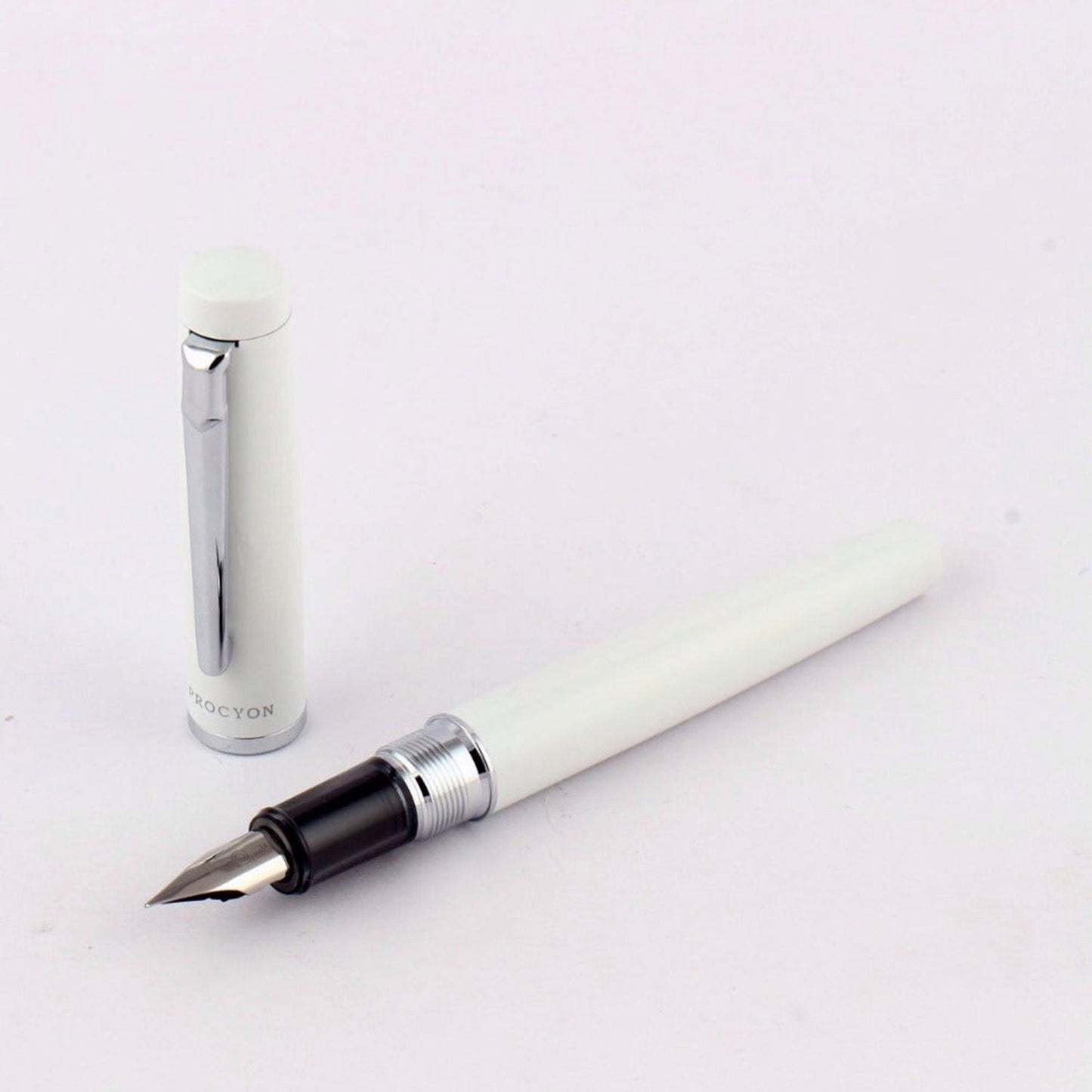Platinum Procyon Porcelain White CT Fountain Pen