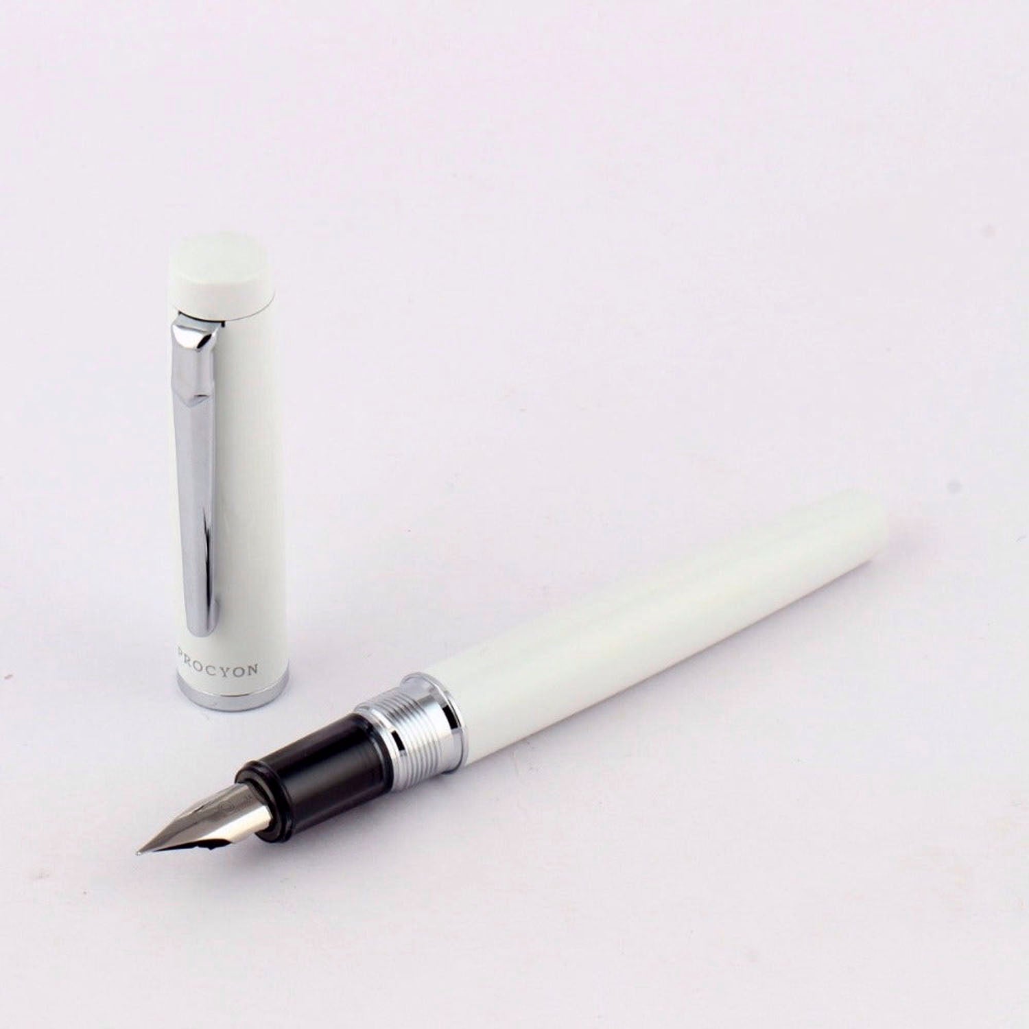 Platinum Procyon Porcelain White CT Fountain Pen