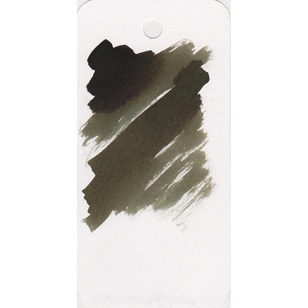 Diamine Ink Bottle (Salamander - 80ML) 830392