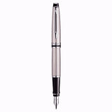 Waterman Expert Stainless Steel CT Fountain Pen