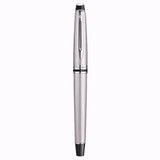 Waterman Expert Stainless Steel CT Fountain Pen